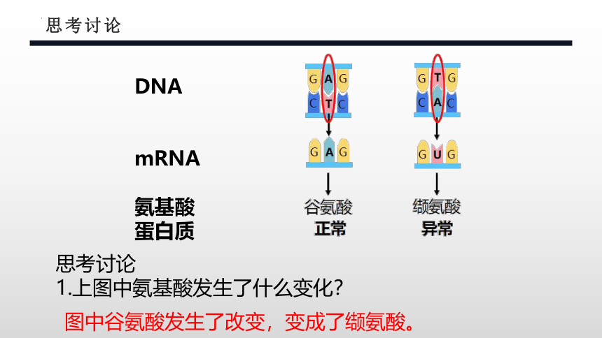 生物人教版（2019）必修2 5.1基因突变和基因重组（共40张ppt）