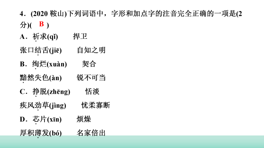 2021年辽宁中考语文二轮复习 知识提升专训：专题一　书写、字音、字形 课件（48张PPT）