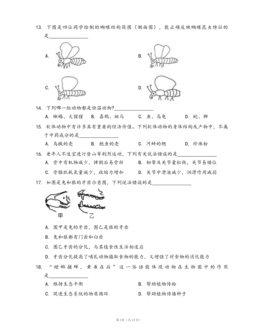 鲁科版生物八年级上册期末冲刺卷(word版，含答案解析）