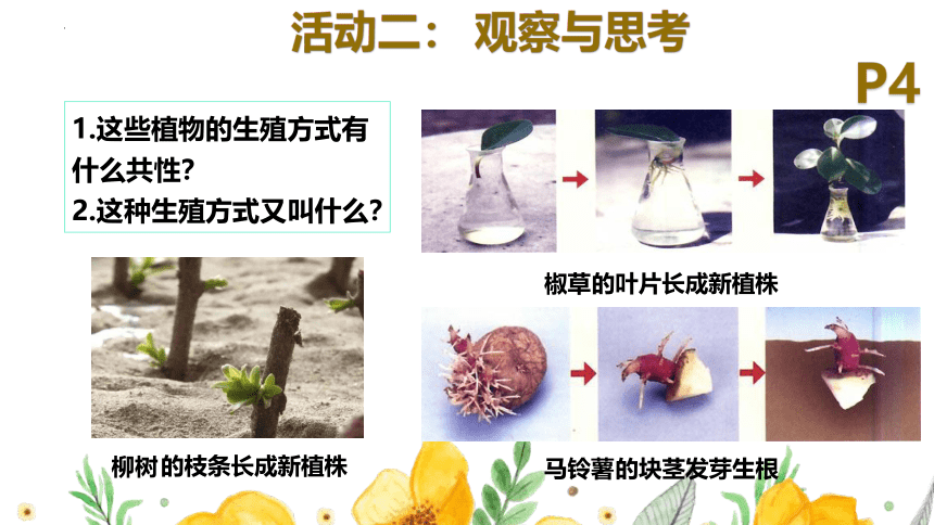 7.1.1植物的生殖课件（共36张PPT）2022-2023学年人教版生物八年级下册