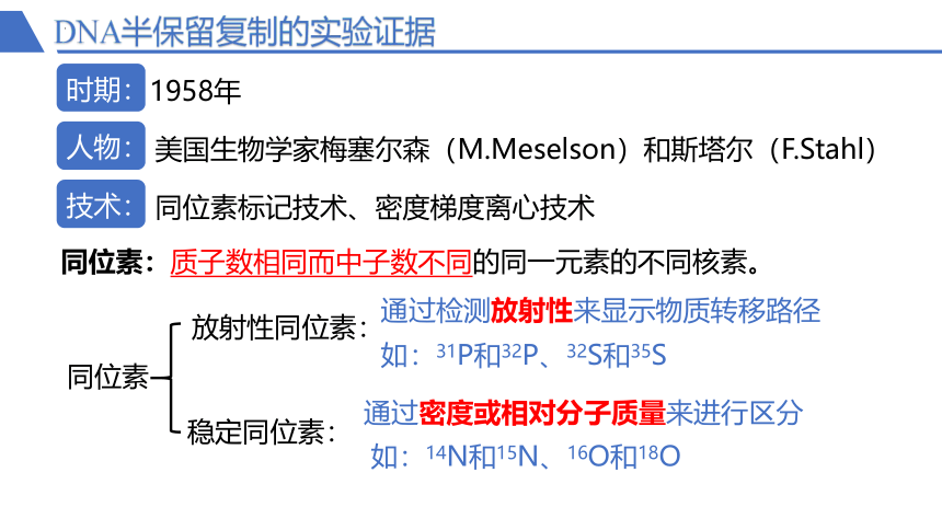 3.3 DNA的复制课件(共34张PPT)-人教版必修2