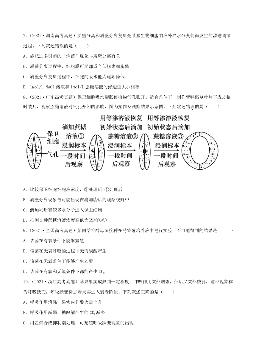 2022年高考生物三年高考真题及模拟题分类汇编：细胞的代谢（Word版含解析）