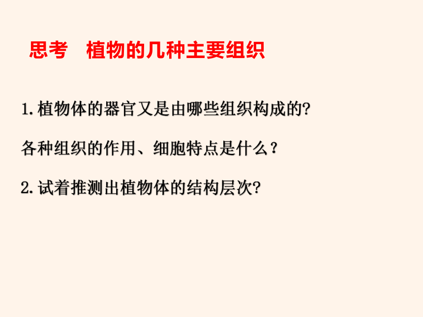 人教版生物七年级上册 2.2.3 植物体的结构层次 2022--2023学年课件 (共15张PPT)