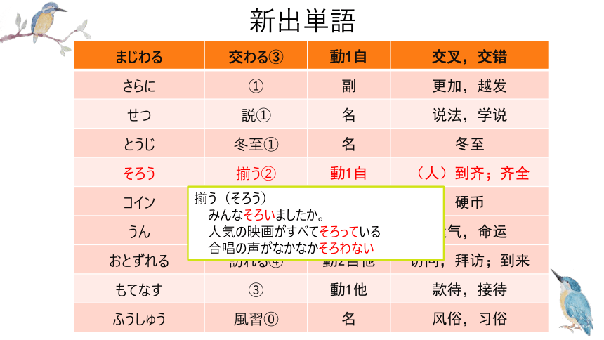 第9課餃子课件（48张）