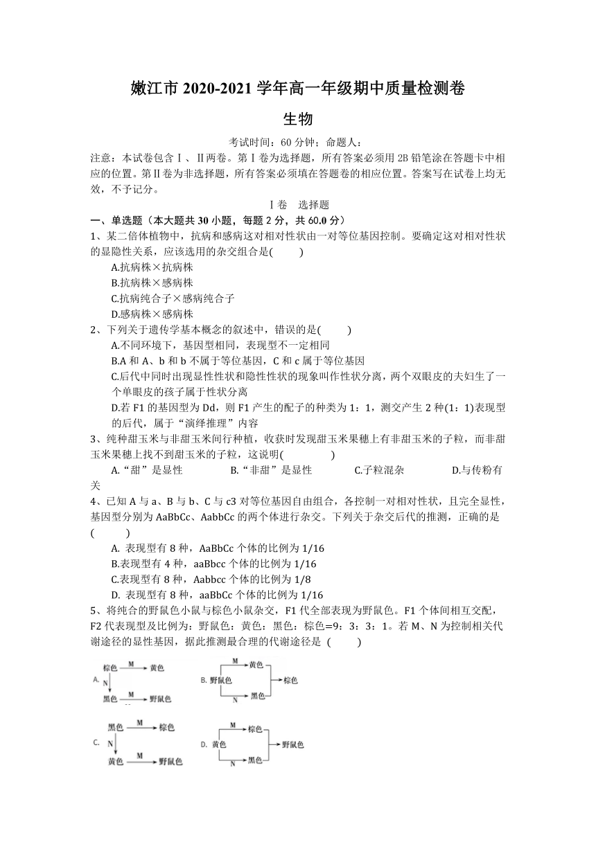 黑龙江省嫩江市2020-2021学年高一上学期期中质量检测生物试题（Word版含解析）