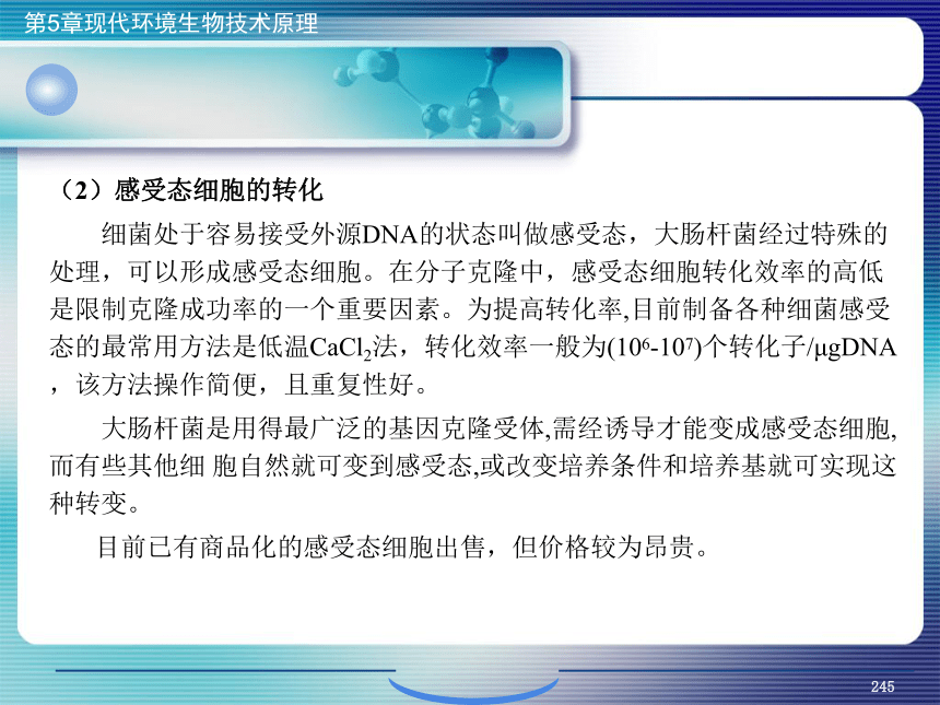 5.现代环境生物技术原理_9 课件(共27张PPT）- 《环境生物化学》同步教学（机工版·2020）