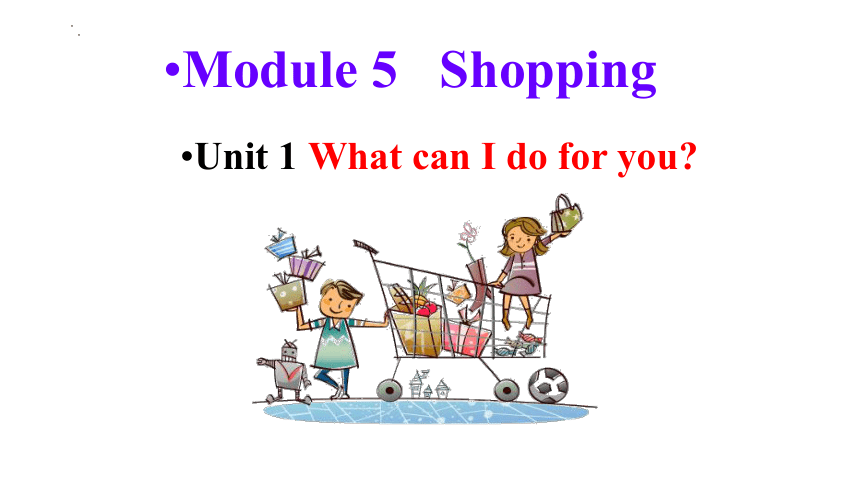 Module 5 Shopping Unit 1 What can I do for you?课件(共25张PPT)+内嵌音频