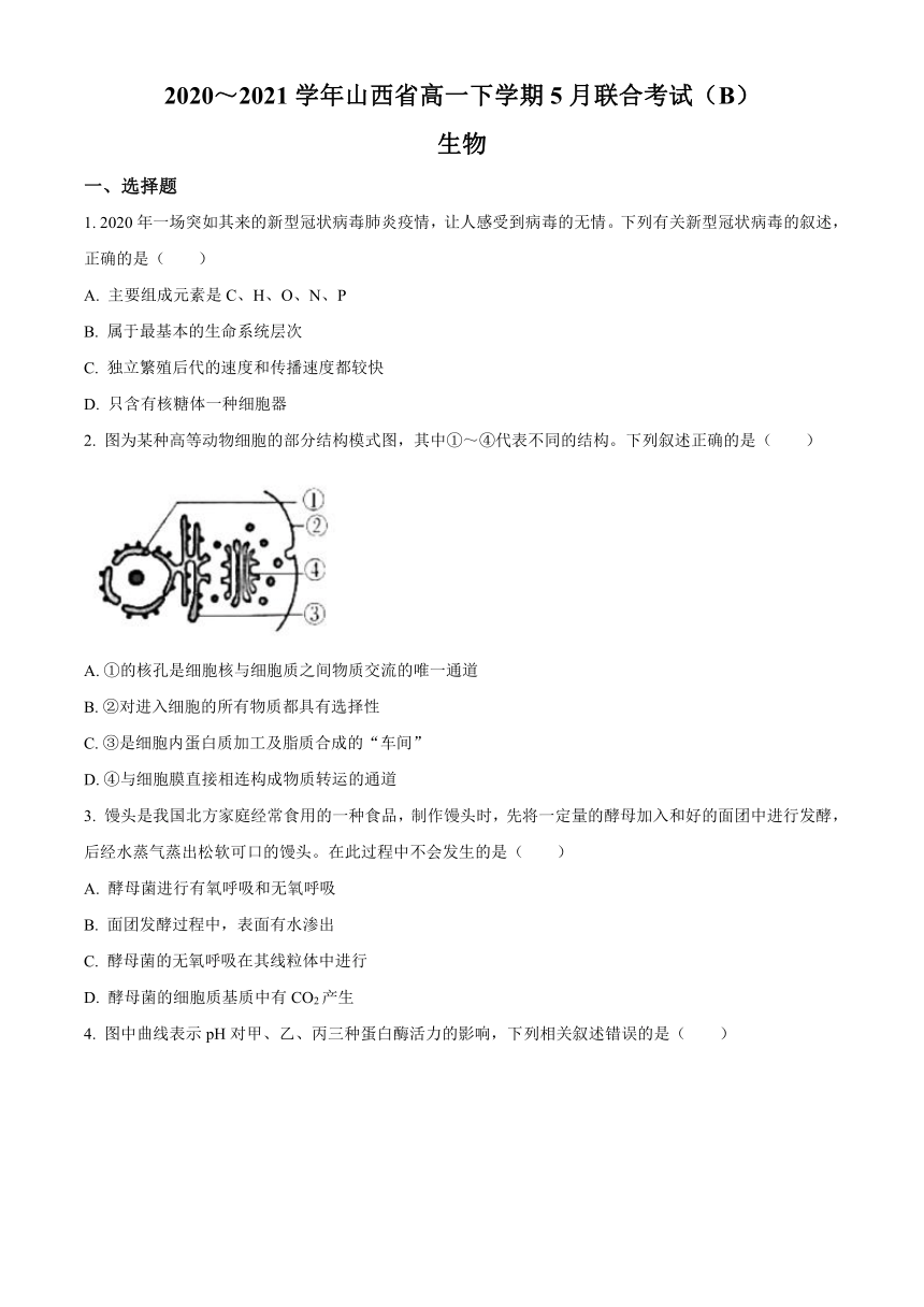 山西省2020-2021学年高一下学期5月联合考试生物试题     含答案