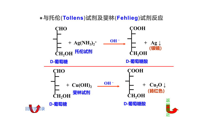 11.3 糖类 课件(共32张PPT)《基础化学(下册)》同步教学（中国纺织出版社）