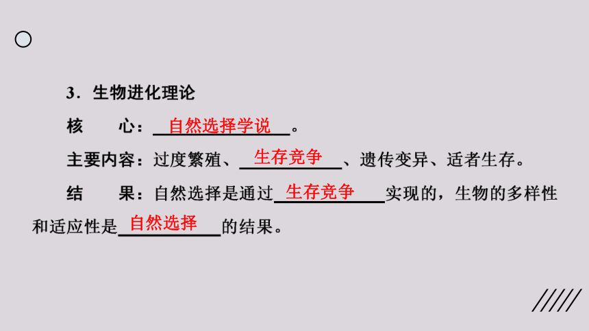 2021--2022学年北师大版生物八年级下册21.2生物进化的原因课件(共25张PPT)