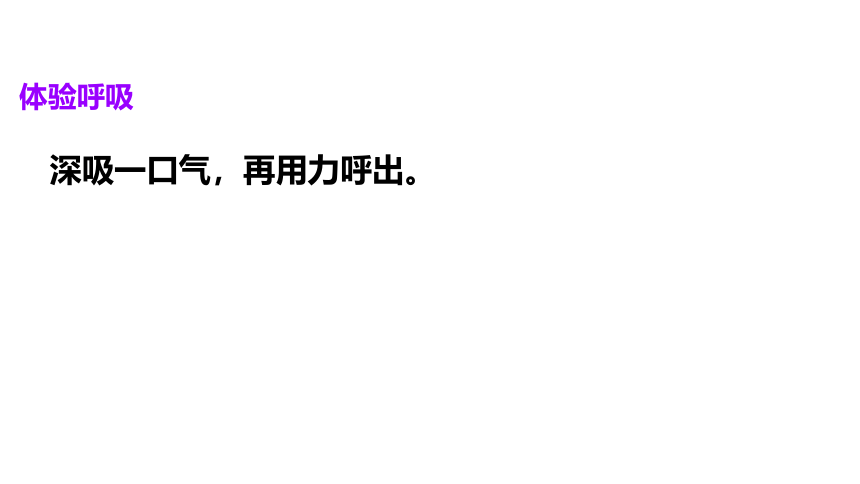 冀教版（2001）六年级科学下册2.6呼吸与交换（课件18张ppt）