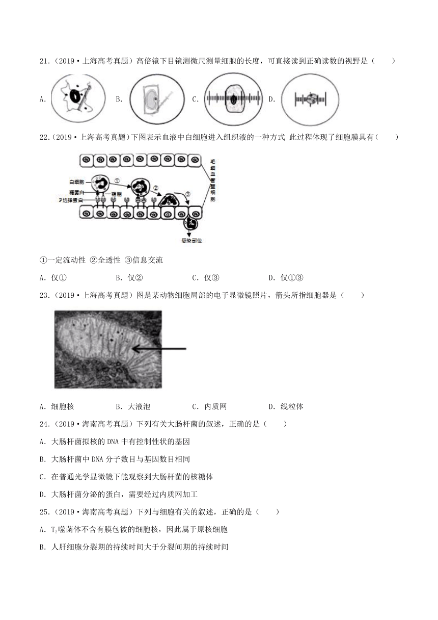 2022年高考生物三年高考真题及模拟题分类汇编：细胞的结构与功能  （Word版含解析）