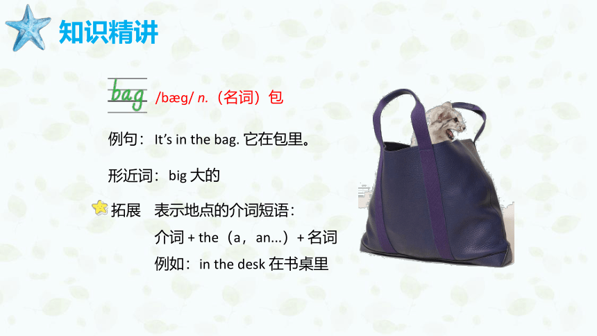 外研版（新）三上 Module 8 Unit 2 Where's the cat【优质课件】