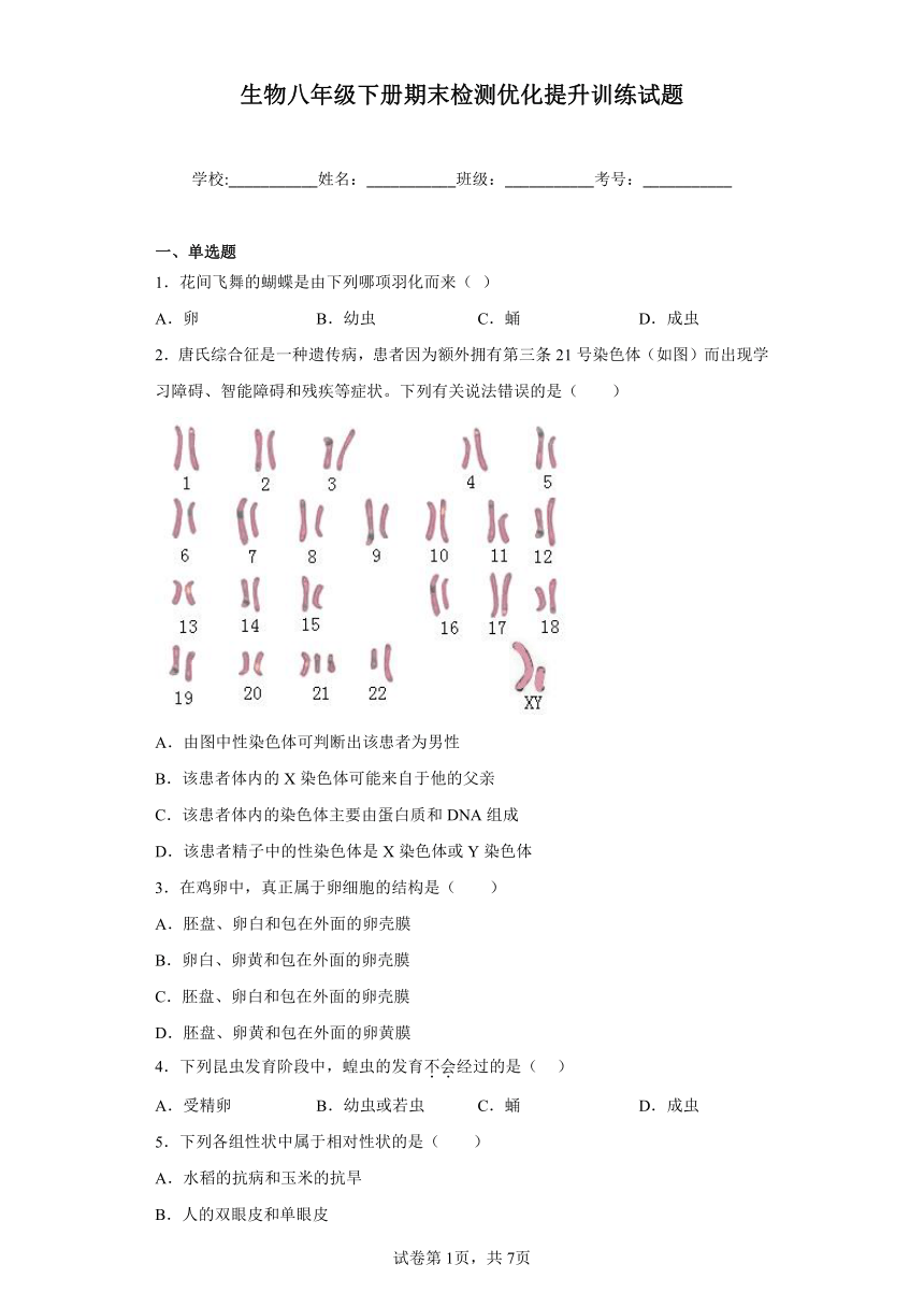 鲁教版生物八年级下册期末检测优化提升训练试题4（含解析）