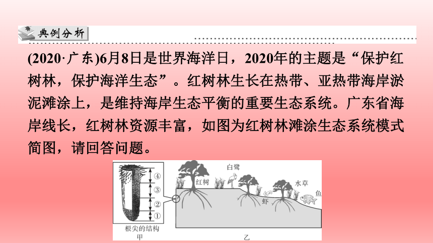 2023年人教版七年级生物上册复习课件 (共22张PPT)读图理解