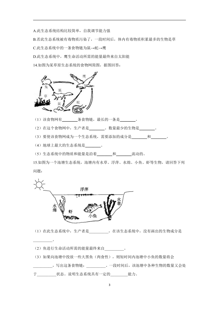 2023年中考一轮复习生物重点练：专题二 考点04 生态系统（A卷）（含解析）