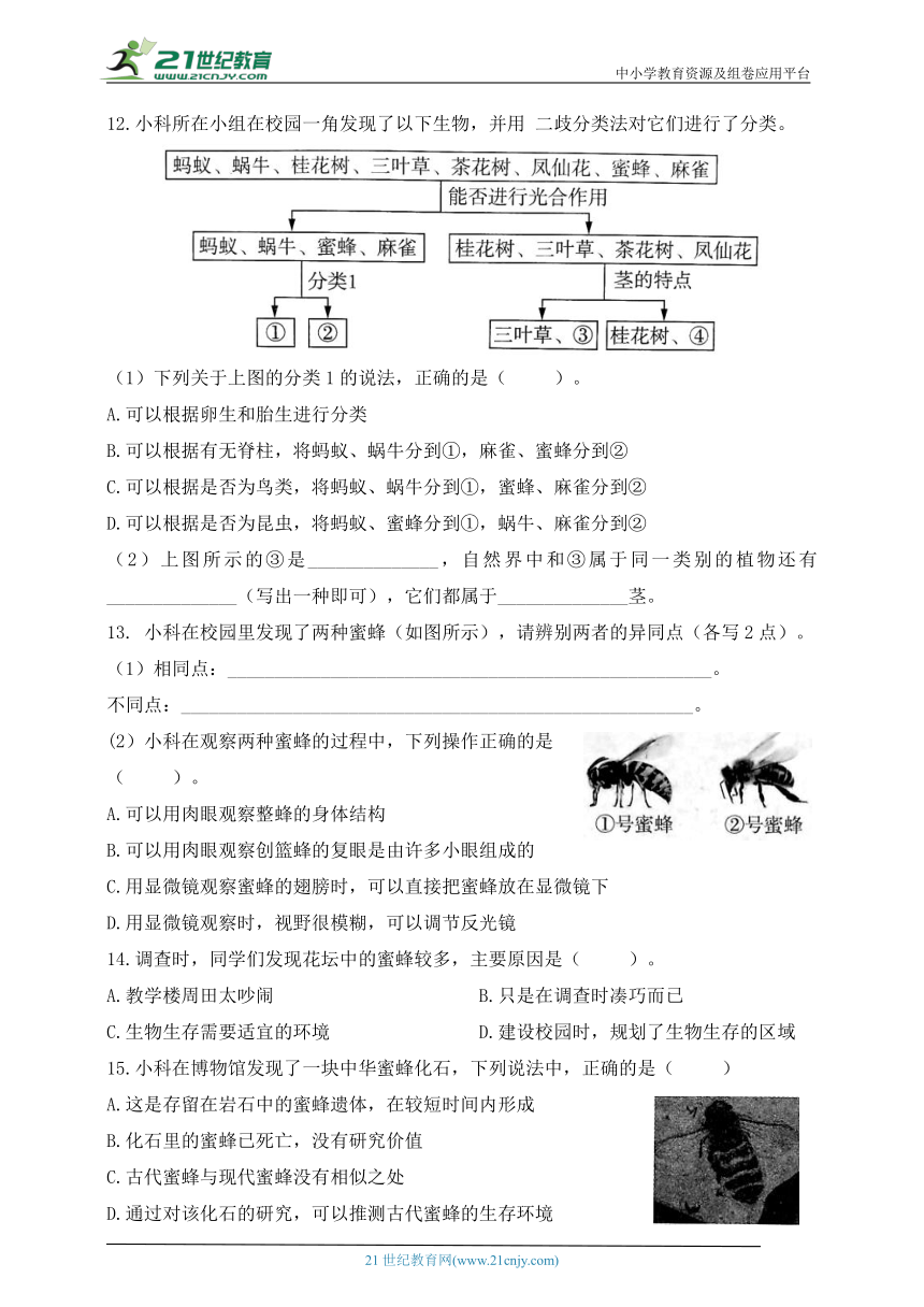 教科版（2017秋）各地期末全真考查卷——温州市瓯海区期末考查卷（含答案）