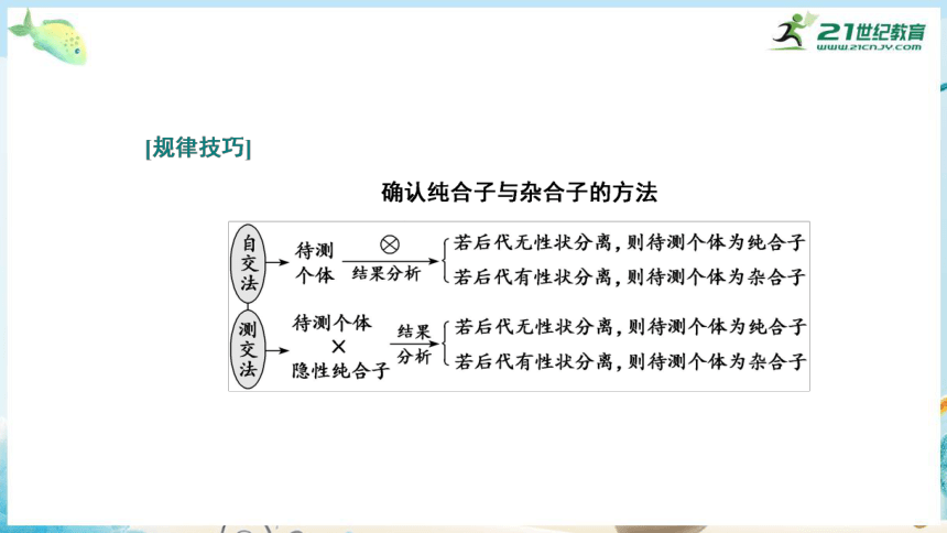 高三生物三轮复习专项突破4  孟德尔遗传定律及其应用(共33张PPT）