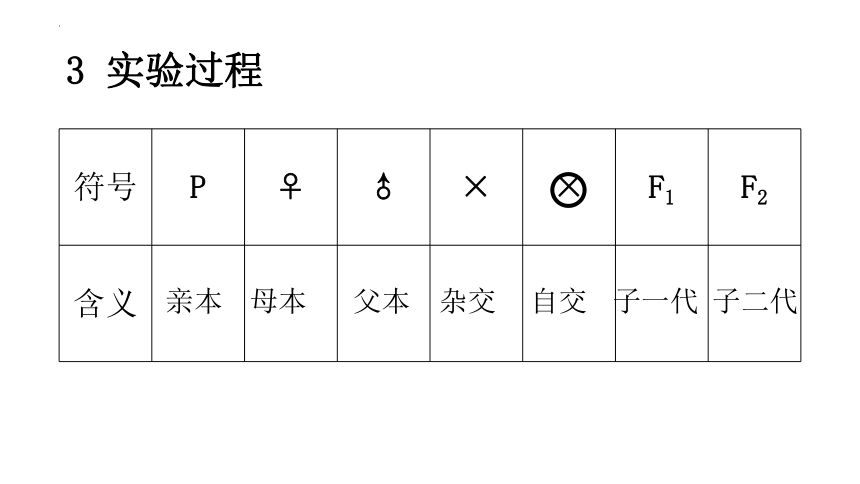 1.1孟德尔的豌豆杂交实验（一）课件（共50张PPT）-人教版（2019）必修2