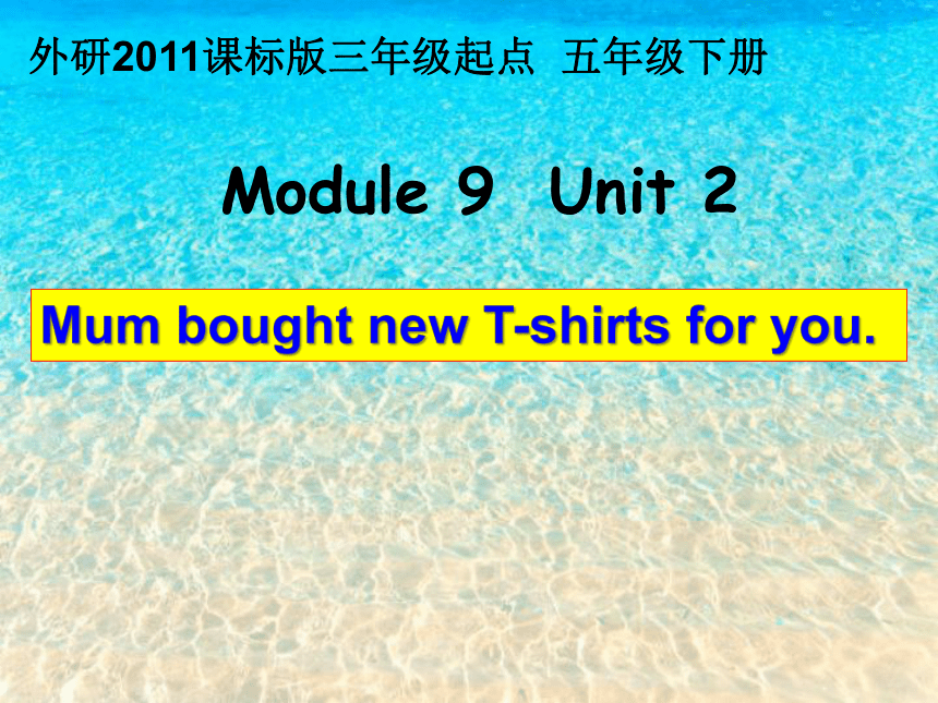 Module 9 Unit 2  Mum bought new T-shirts for you. 课件（共19张PPT）