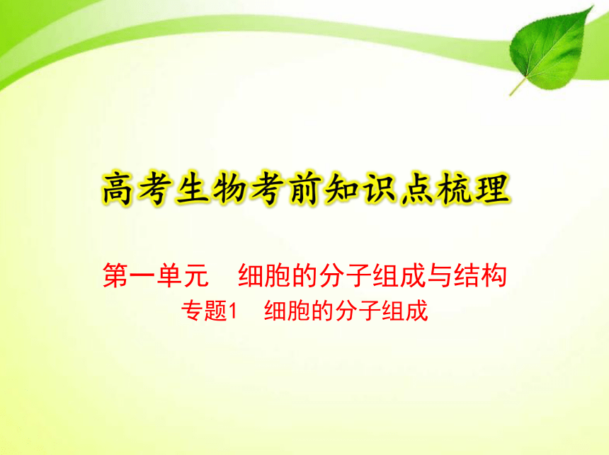 高考生物考前知识点梳理：专题1 细胞的分子组成（讲解部分）（共35张PPT）