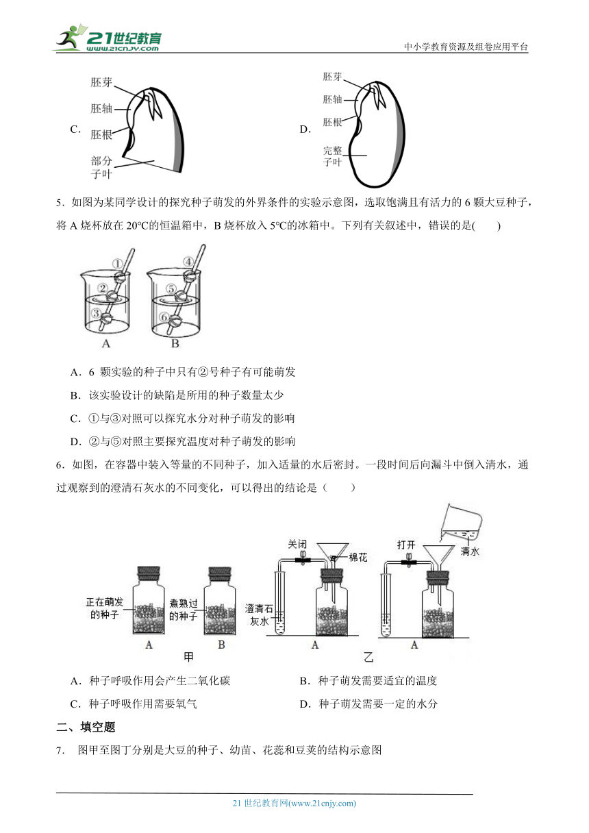 华师大版七下 7.2种子的萌发和幼苗的形成 随堂练习（含解析）