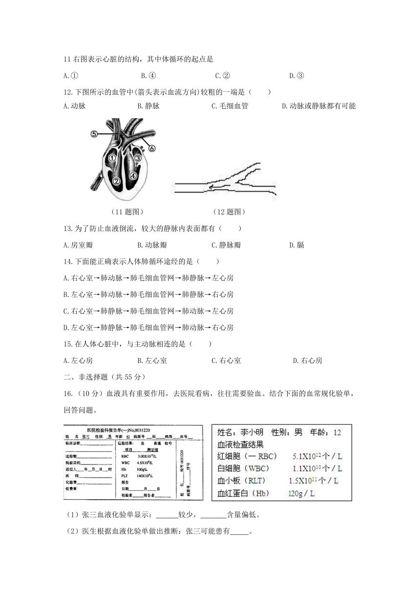 冀教版七年级下2.2爱护心脏  单元测试基础卷（含答题卡+答案）