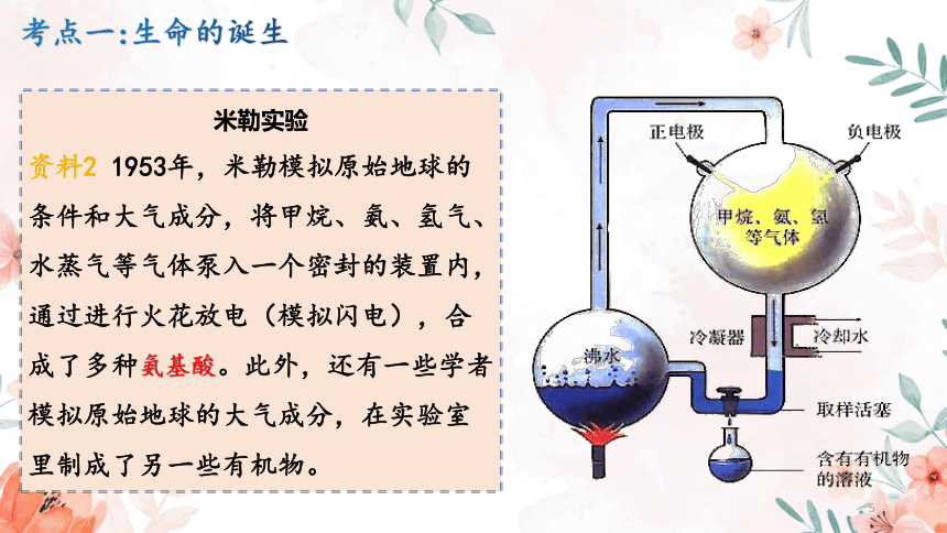 专题13 生命起源和生物进化2023年中考生物专题复习课件(共27张PPT)