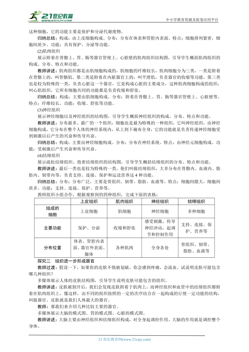 人教版七年级生物上册教案 2.2.2 动物体的结构层次