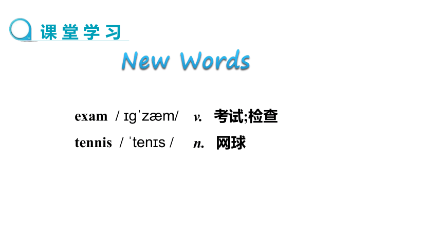 Unit 8 Lesson 43 Have a Good Summer课件（26张PPT)
