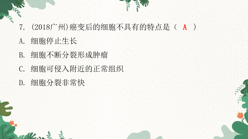 人教版生物七年级上册 第二单元生物体的结构层次章末总结第二章 细胞怎样构成生物体习题课件（共32张PPT）