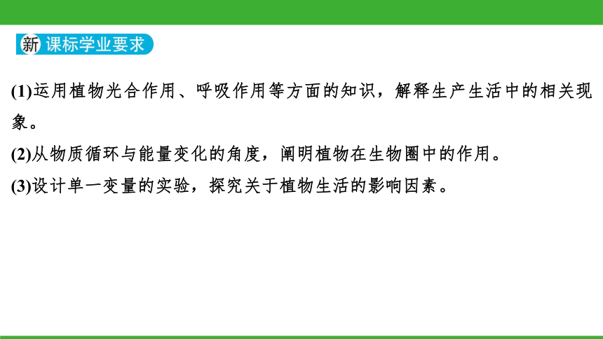 2023人教版年中考生物一轮复习 第8课 绿色植物的呼吸作用（58张ppt）