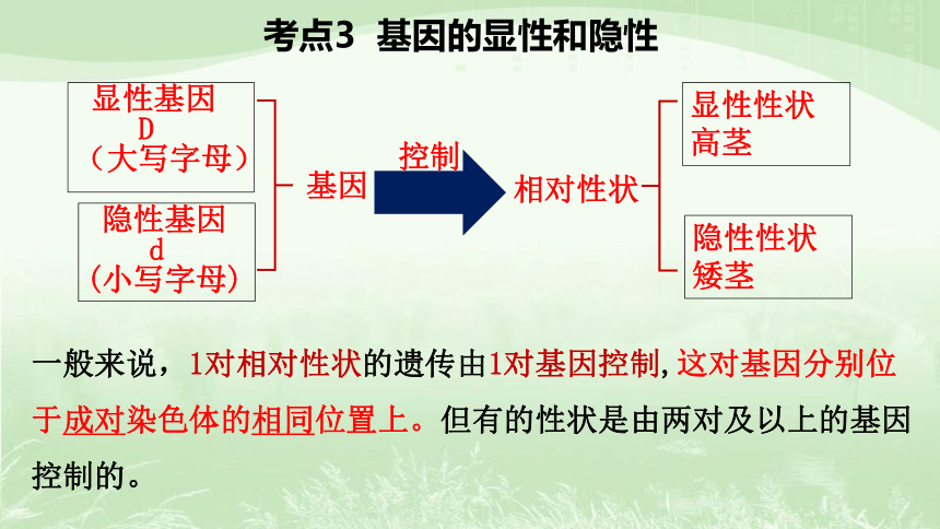 专题9  生物的遗传、变异和进化课件(共23张PPT)