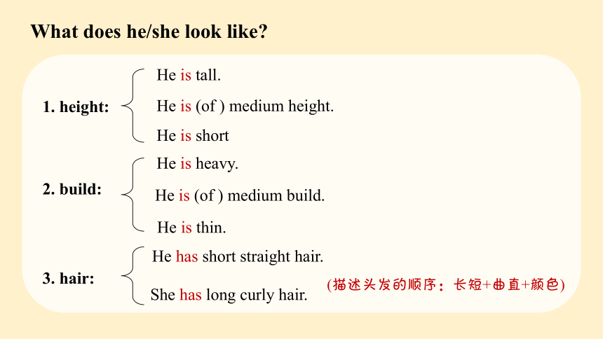 Unit 9 What does he look like?  Section A (1a-2d) 课件(共29张PPT，内嵌音频)