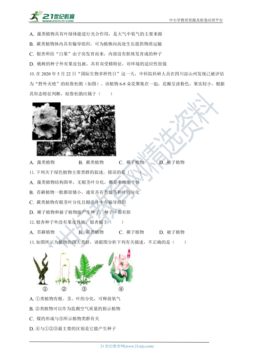 人教版七年级上册生物第三单元 第一章 生物圈中有哪些绿色植物（word版 含解析）