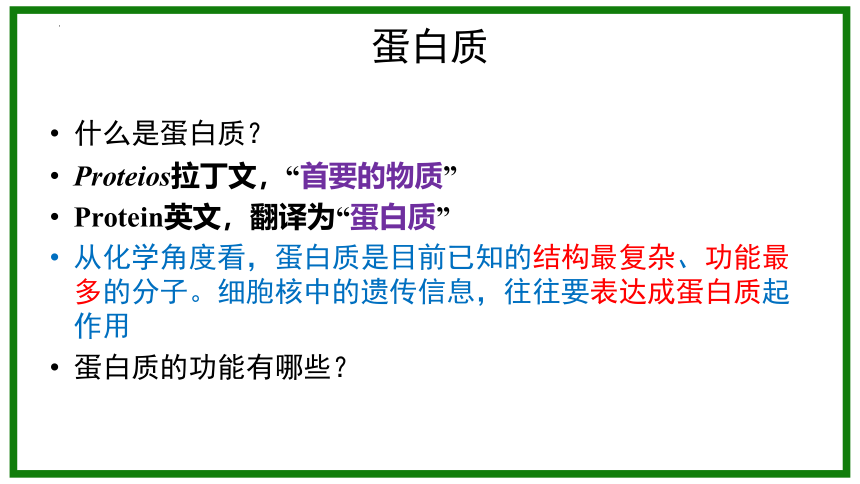 2.4 蛋白质是生命活动的主要承担者课件-(共56张PPT)人教版必修1