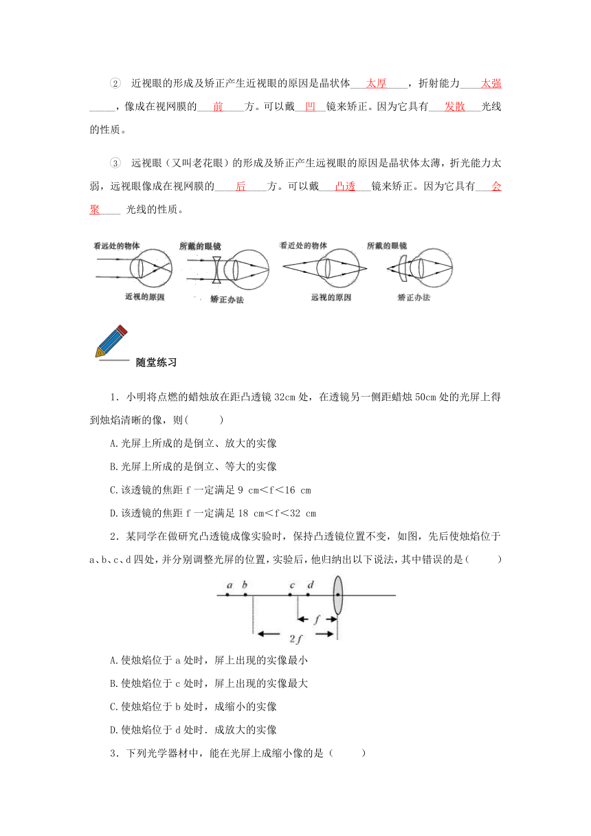 中考物理复习学案寒假讲义   第4课：凸透镜成像（含答案）