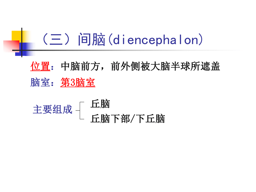 11 神经系统-4 课件(共80张PPT)- 《畜禽解剖生理学》同步教学（高教版）