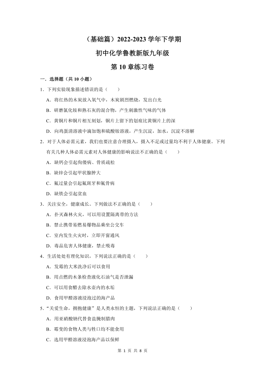 （基础篇）2022-2023学年下学期初中化学鲁教版九年级第10章练习卷（含解析）