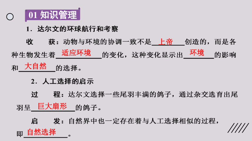 2021--2022学年北师大版生物八年级下册21.2生物进化的原因课件(共25张PPT)