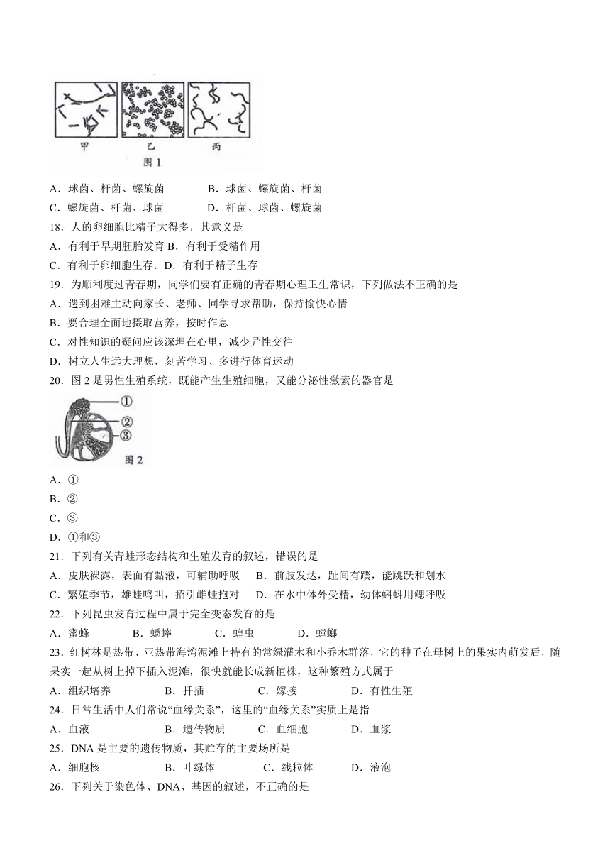 广东省韶关市2021-2022学年八年级上学期期末生物试题（word版 含答案）