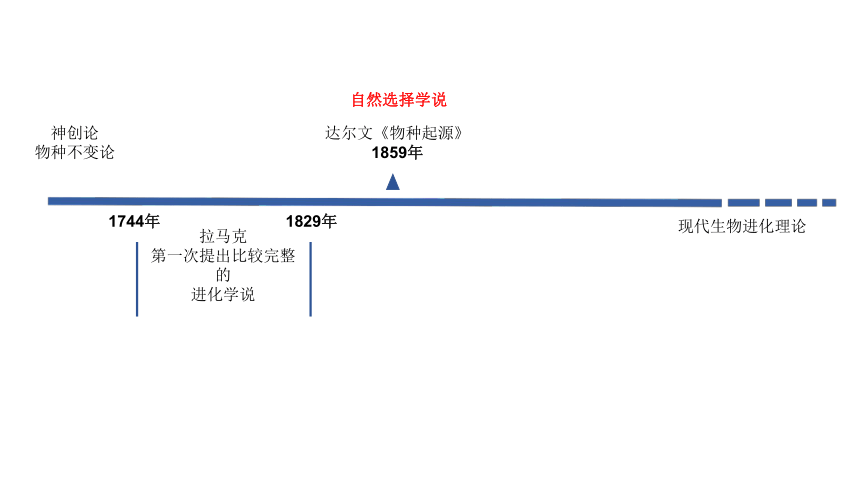 7.1 现代生物进化理论的由来 课件(共25张PPT)