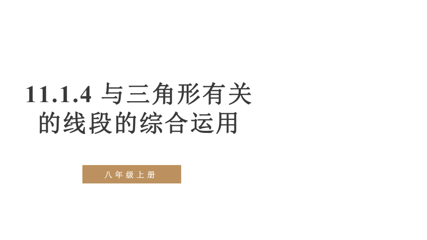 2021--2022学年人教版八年级数学上册11.1.4与三角形有关的线段的综合运用课件（24张PPT）