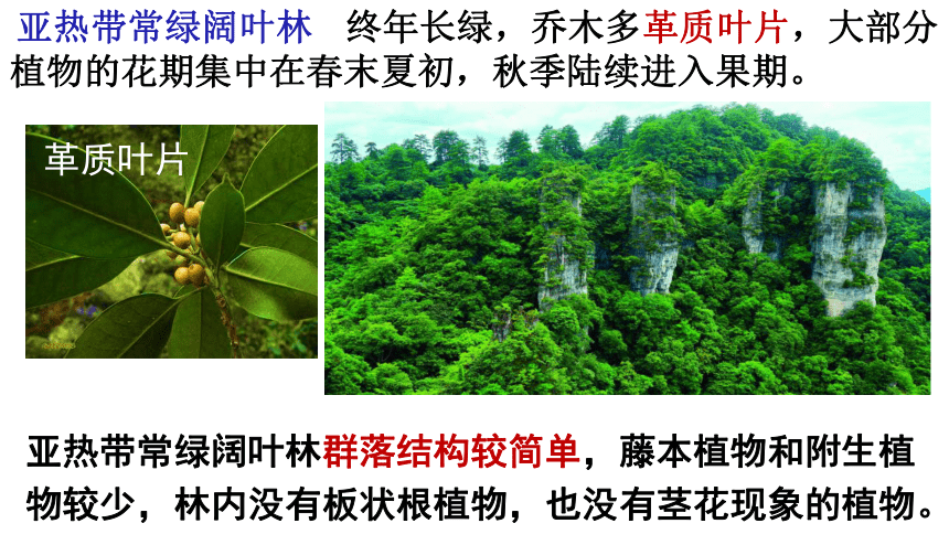 5.1主要植被与自然环境（共34张ppt）