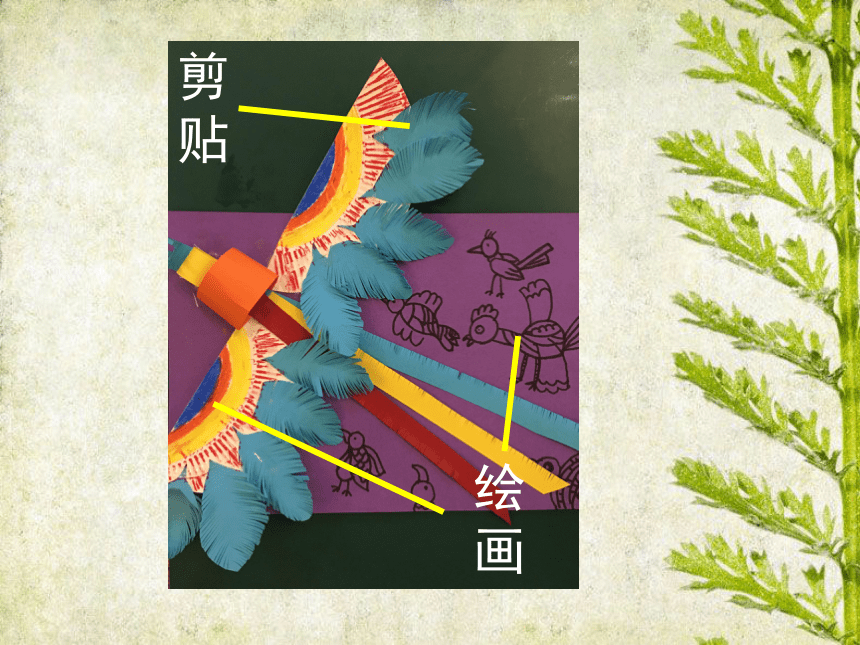 人美版小学二年级下册美术19《我喜欢的鸟》名师课件(共16张PPT)