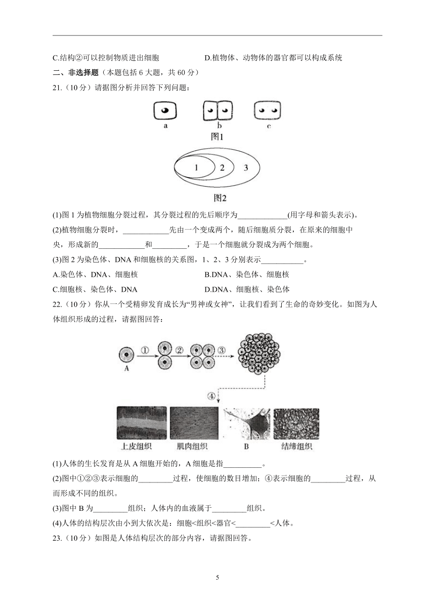 第二单元第二章 细胞怎样构成生物体2022-2023学年人教版生物七年级上册单元同步检测(word版含解析）