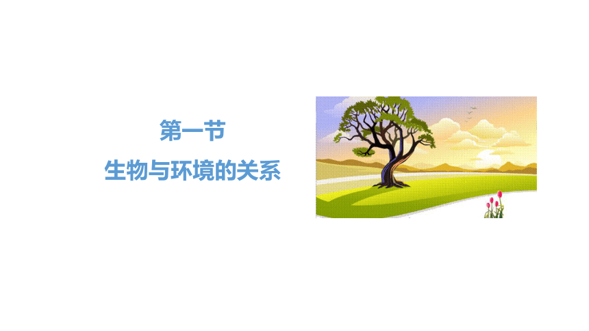 2021—2022学年人教版七年级上册1.2.1 生物与环境的关系课件(共45张PPT)