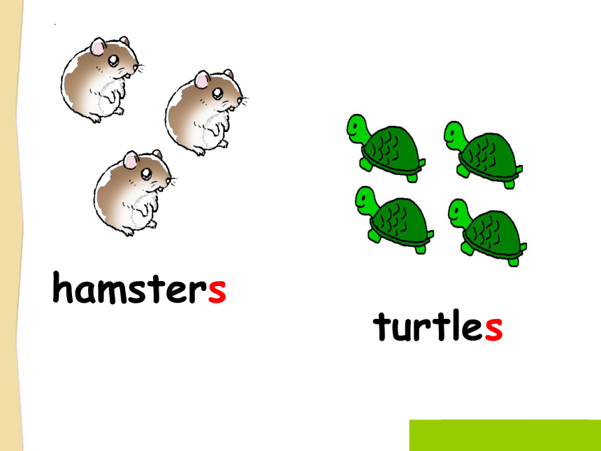 Chapter1 Choosing a pet-E 课件（共37张PPT）