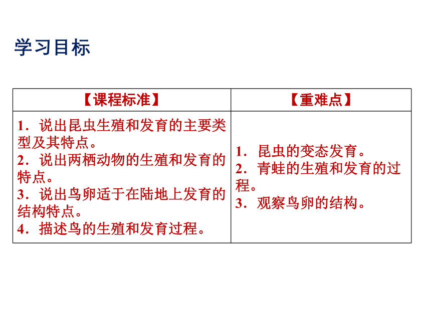 2021-2022学年度北师版八年级生物上册19.2 动物的生殖和发育课件(共31张PPT)