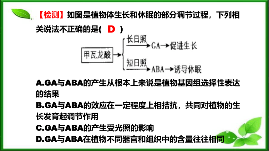 2021-2022学年高二上学期生物人教版选择性必修1-5.4环境因素参与调节植物的生命活动课件（45张ppt）